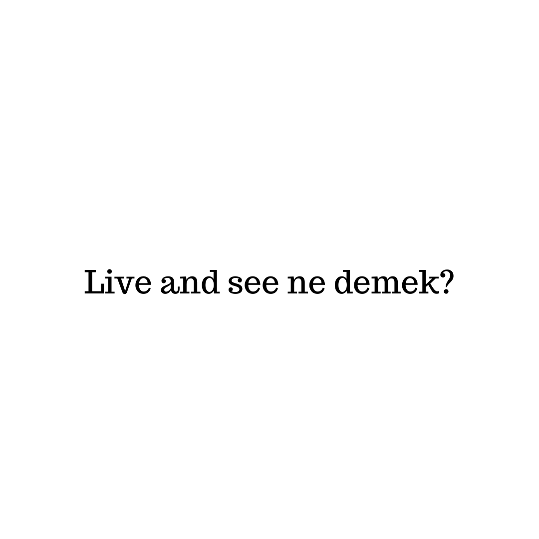 Live and see ne demek?